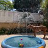 בריכת נתזים לכלב