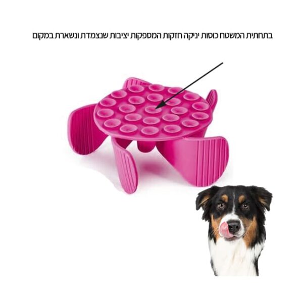 ליקוק ספירלה ורודה