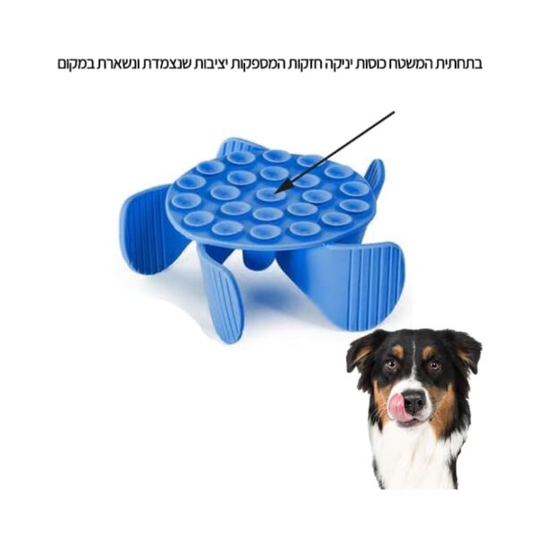 ספירלה כחולה לקערת האכלה