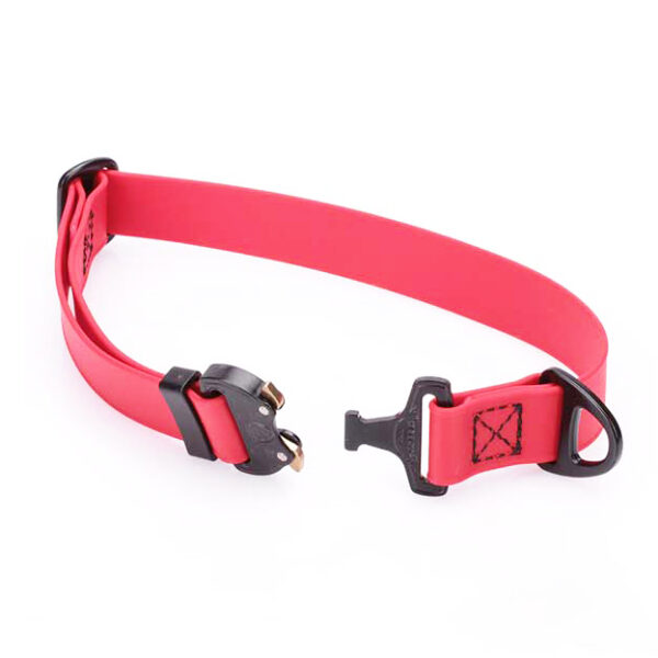 RED dog collar with QR SMALL jpg 780x825 crop center copy