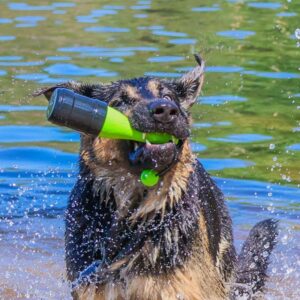 come077a dog comets bobber koiran uimalelu vihrea 1