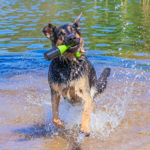 come077a dog comets bobber koiran uimalelu vihrea 2