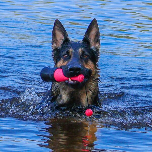 come077c dog comets bobber koiran uimalelu pinkki