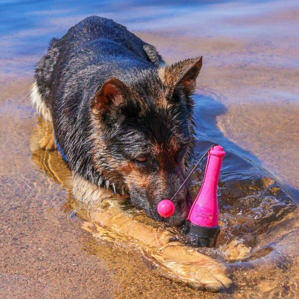 come077c dog comets bobber koiran uimalelu pinkki 4