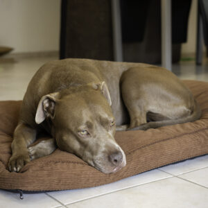 מיטה מלבנית חומה