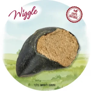 0648722002058 120120261203202942 large