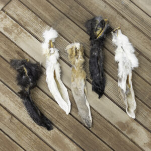 אוזני ארנבת עם פרווה קרניבור