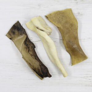 3 קרקפות בופאלו וגמל קרניבור