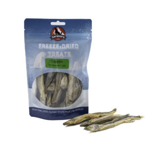 דגי טרוטנית קרניבור