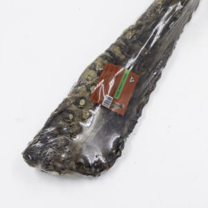 עמוד שדרה קרניבור