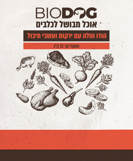 טלה עם ירקות 1 e1736860449926